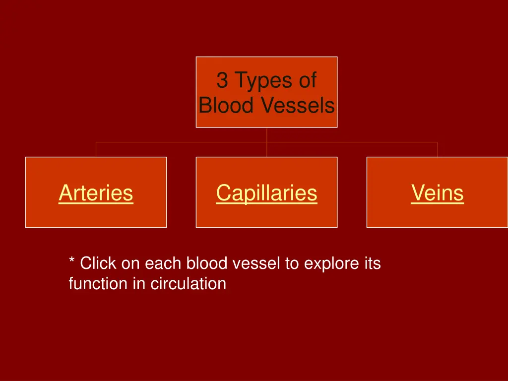 3 types of blood vessels