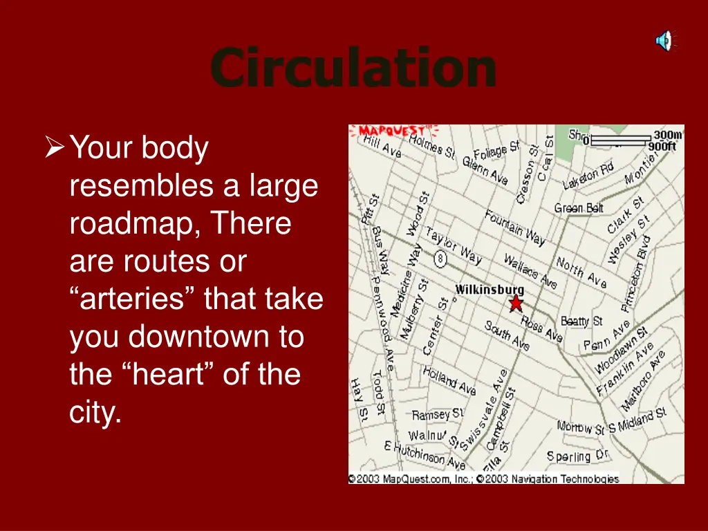 circulation