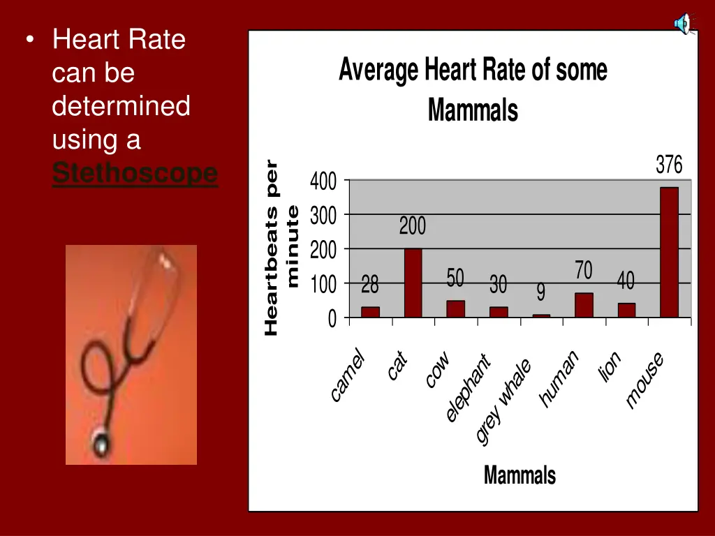heart rate can be determined using a stethoscope