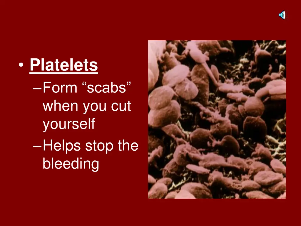 platelets form scabs when you cut yourself helps
