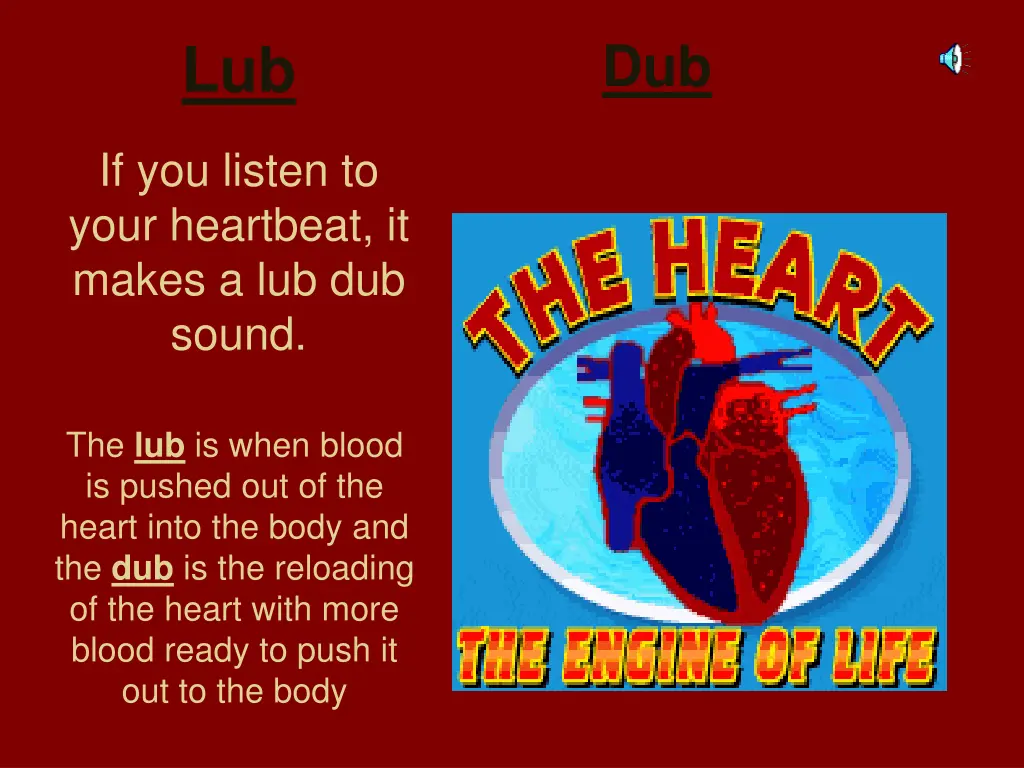 slide8