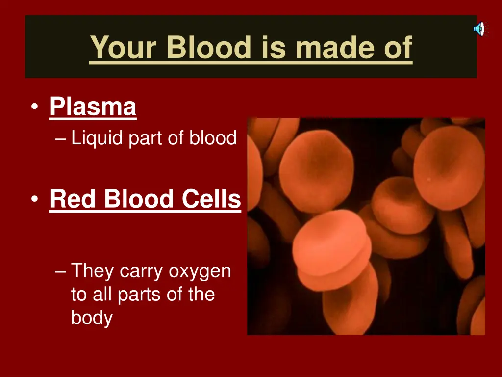 your blood is made of