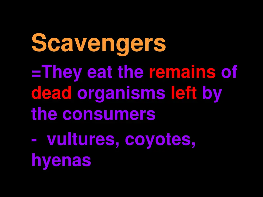 scavengers they eat the remains of dead organisms
