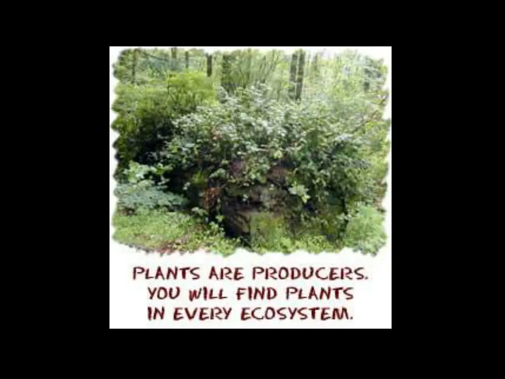 slide3