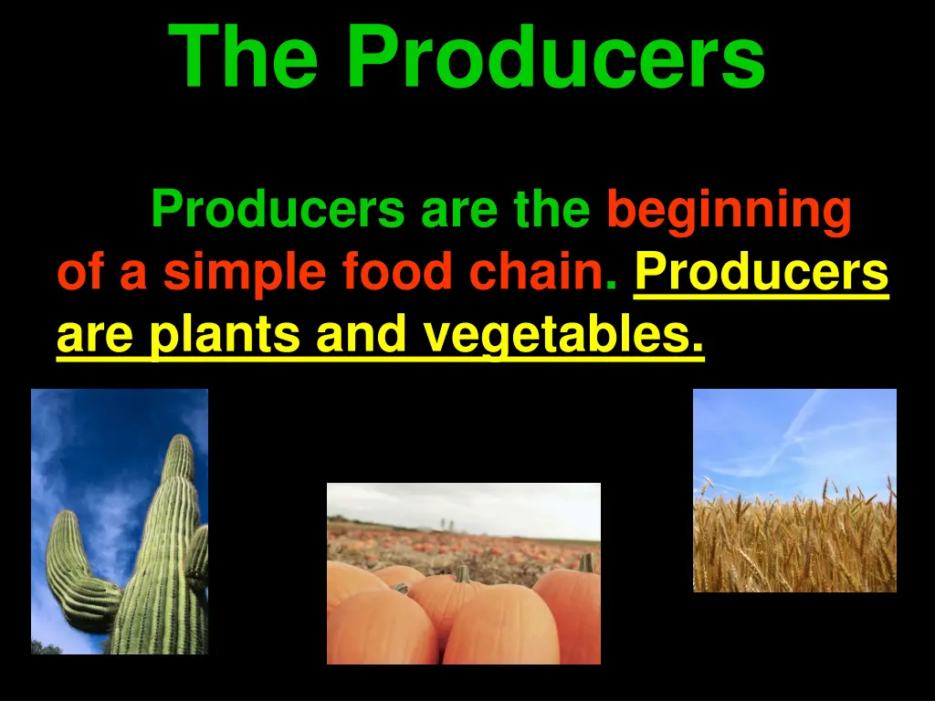the producers
