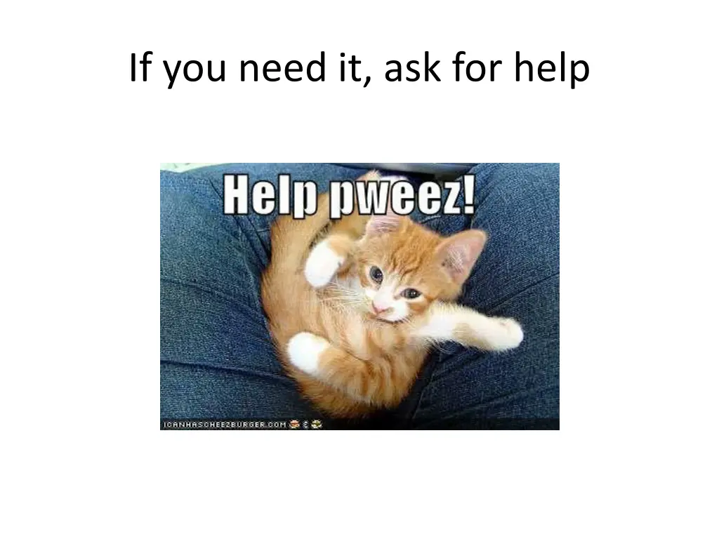 if you need it ask for help