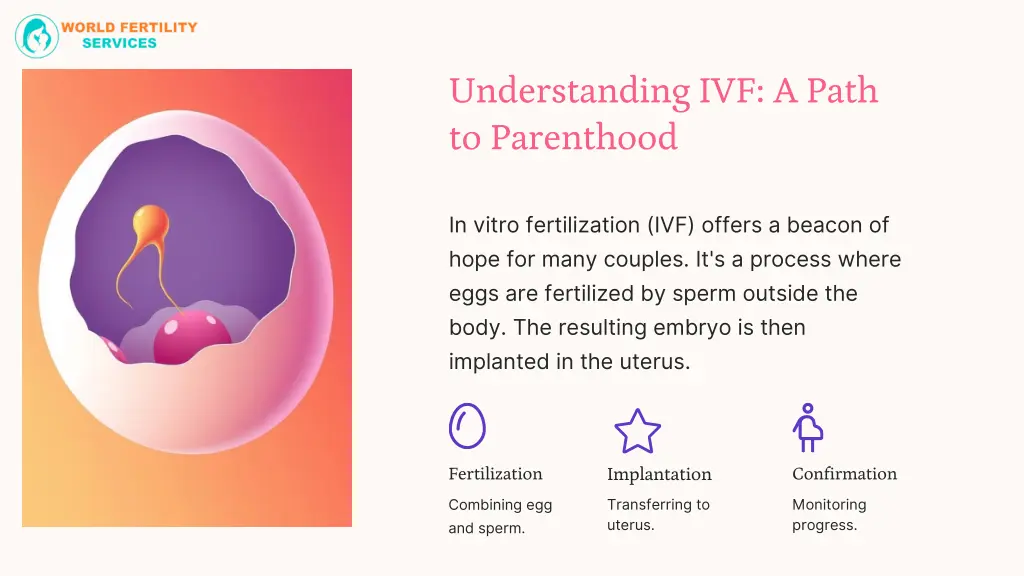 understanding ivf a path to parenthood