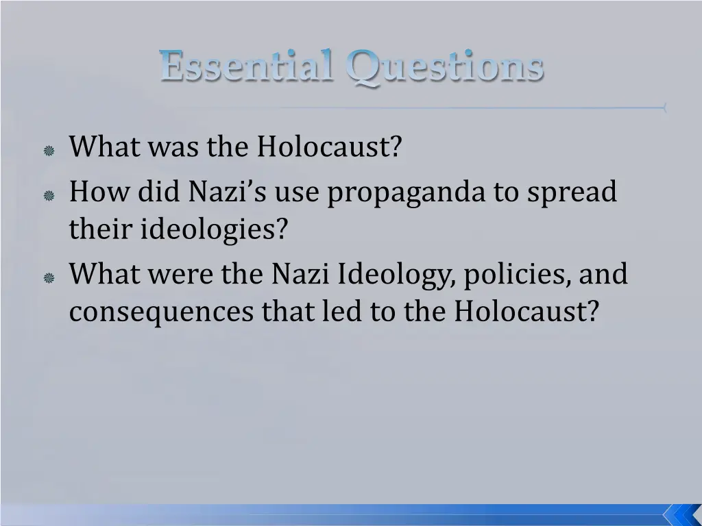 what was the holocaust