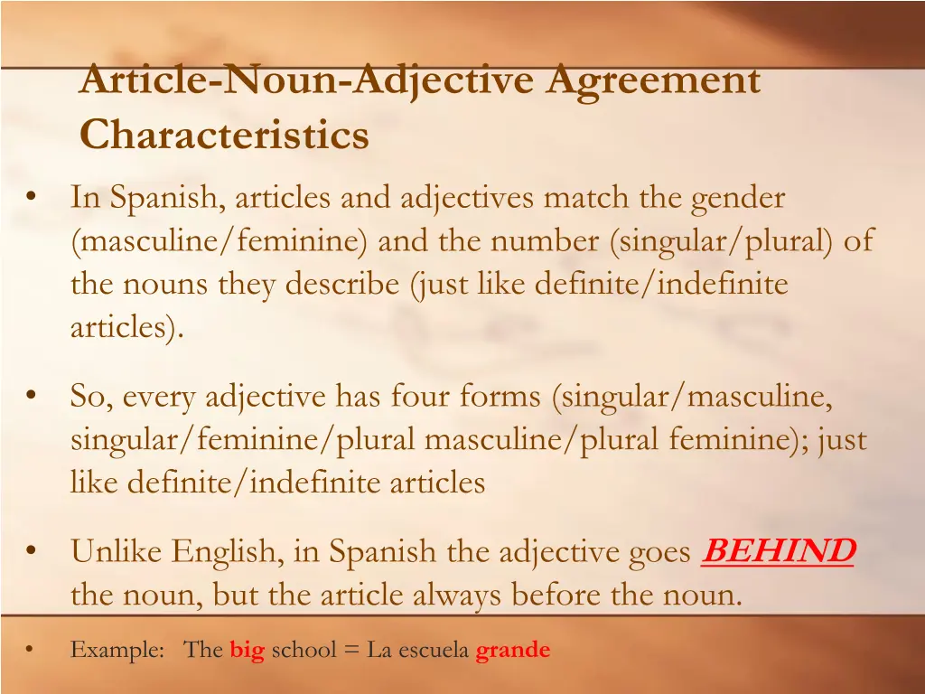 article noun adjective agreement characteristics