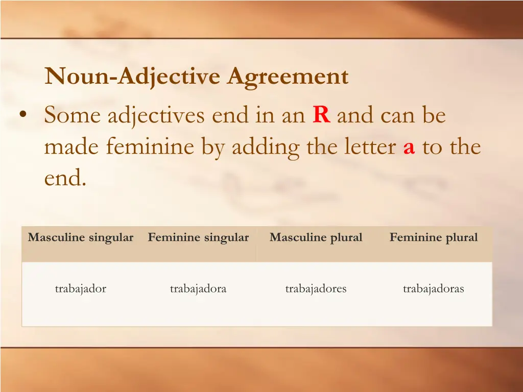 noun adjective agreement 4