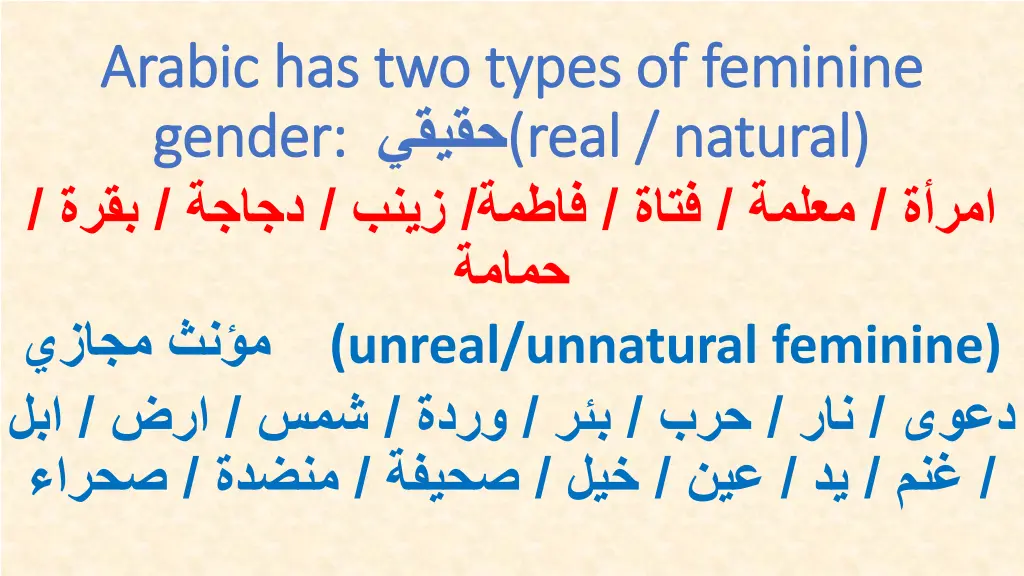 arabic has two types of feminine arabic