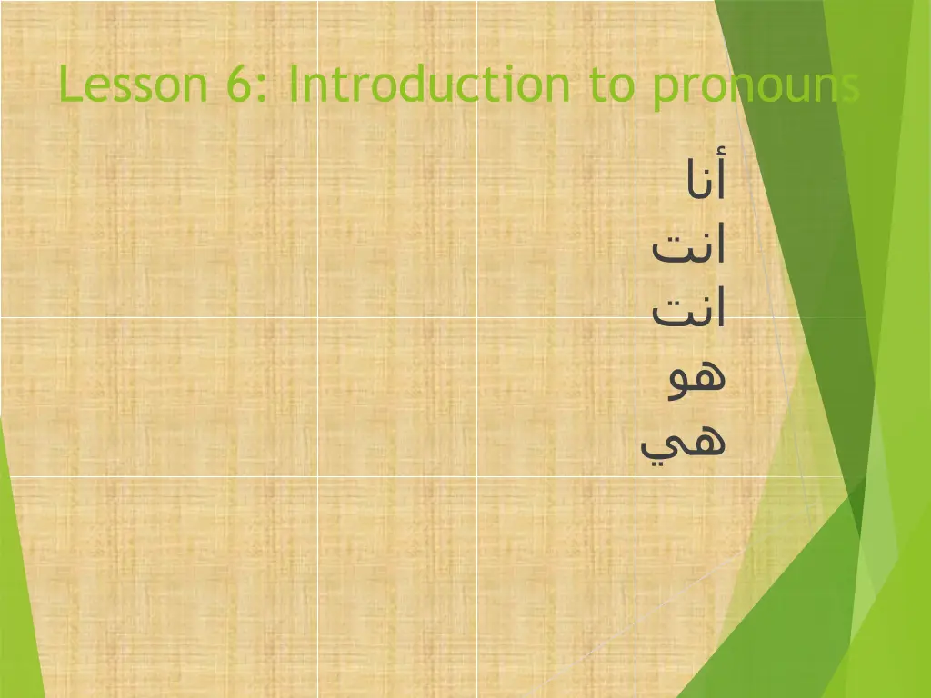lesson 6 introduction to pronouns