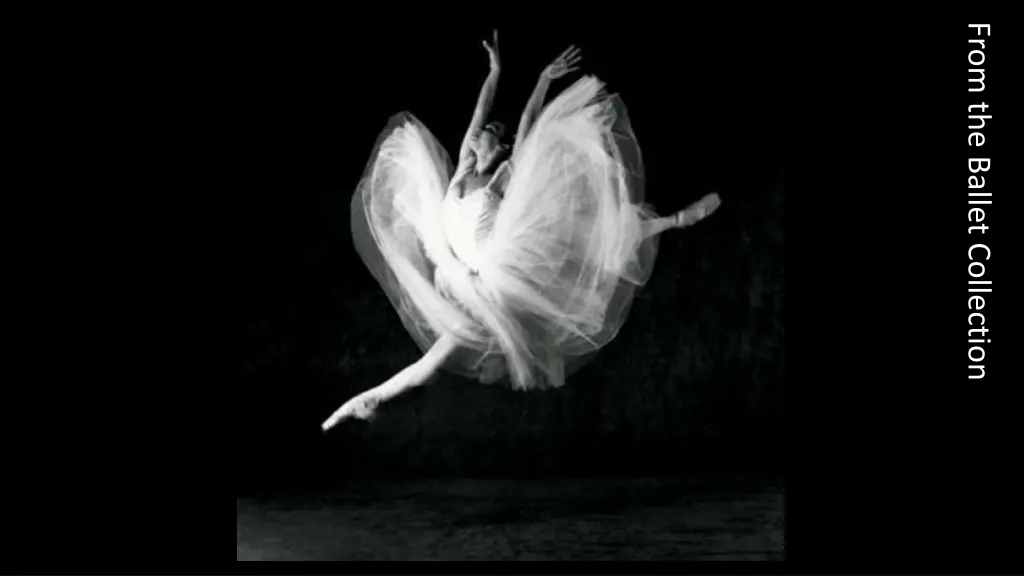 from the ballet collection