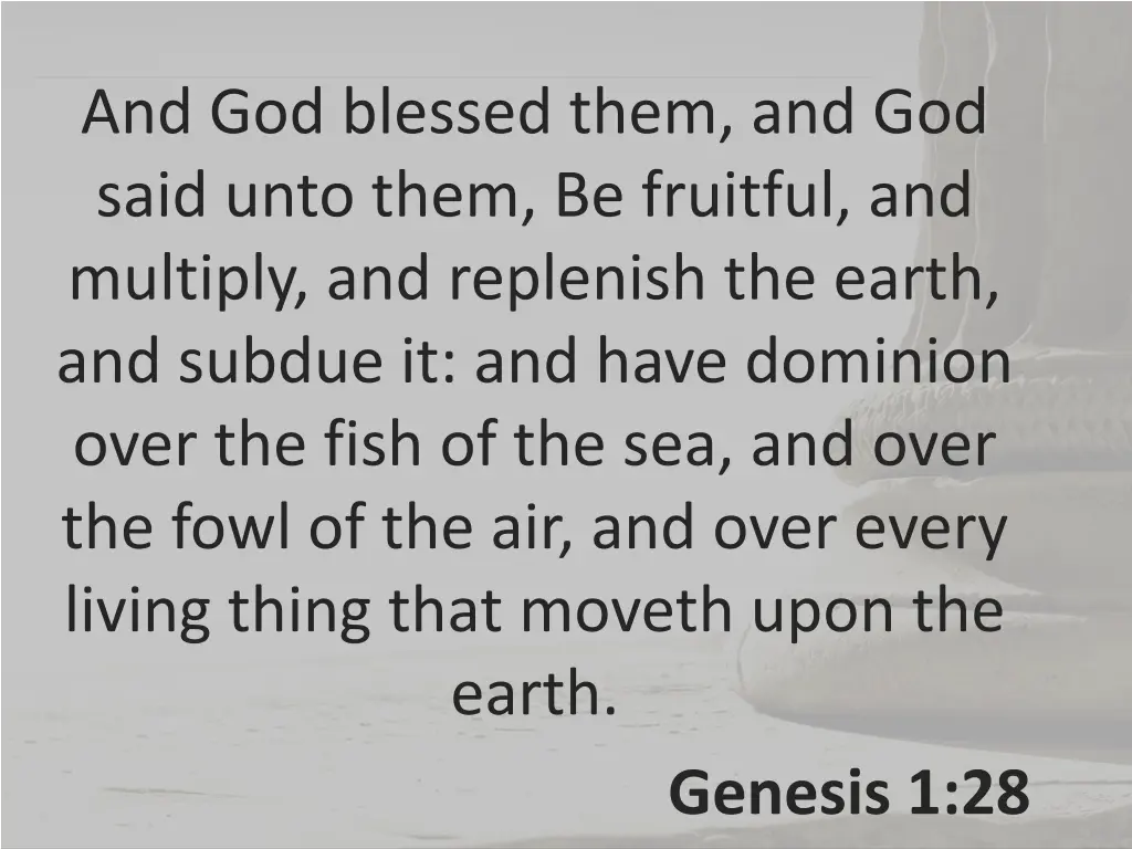 and god blessed them and god said unto them