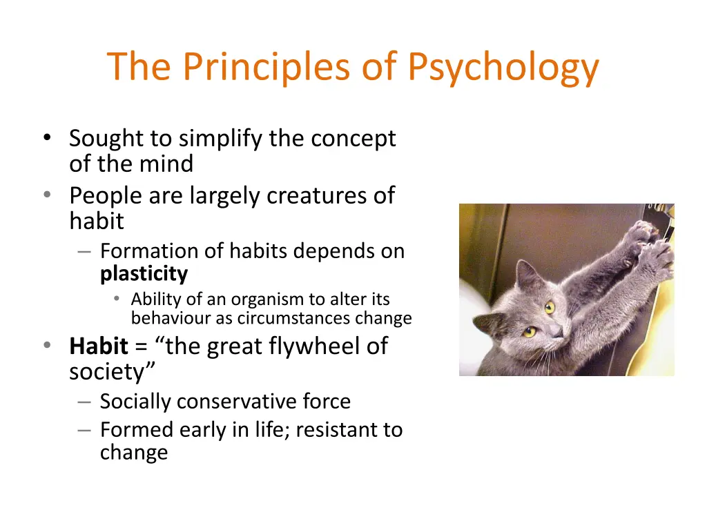 the principles of psychology