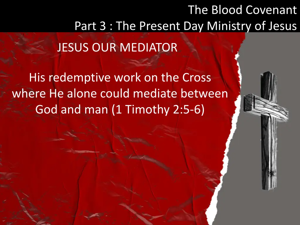 the blood covenant 19