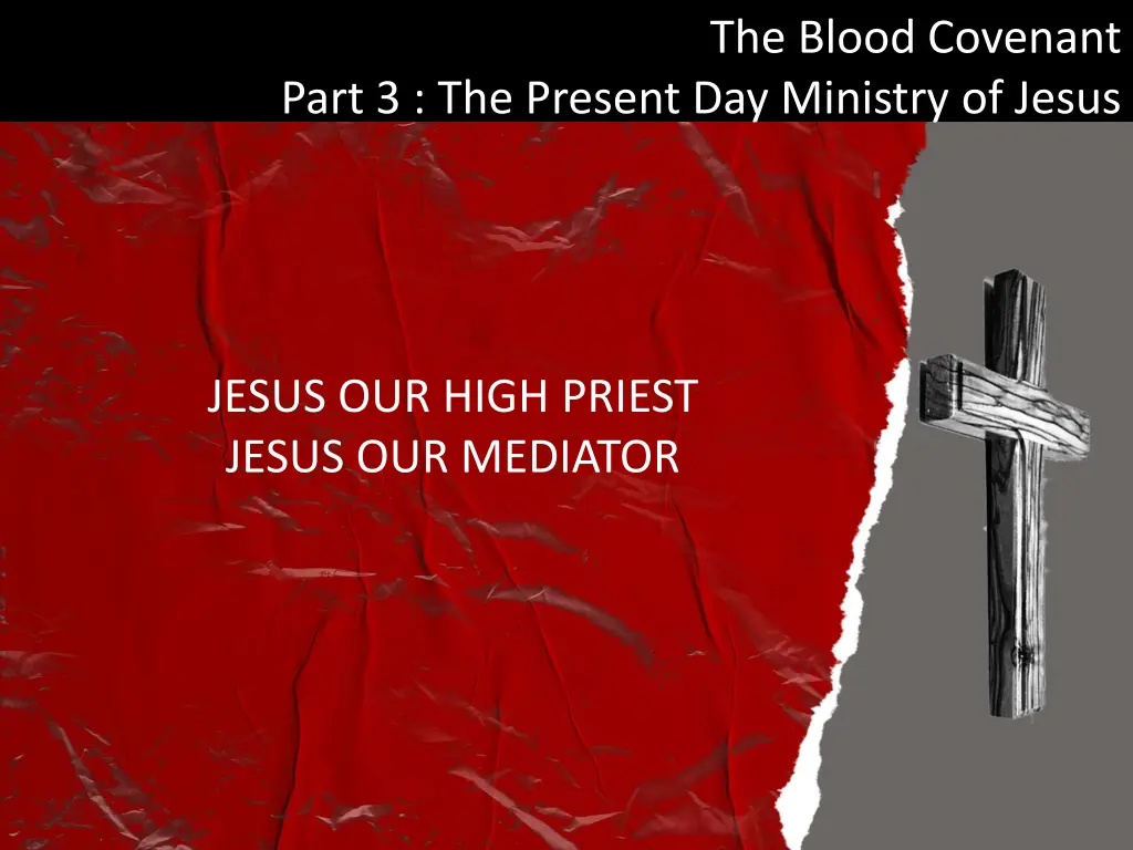 the blood covenant 21