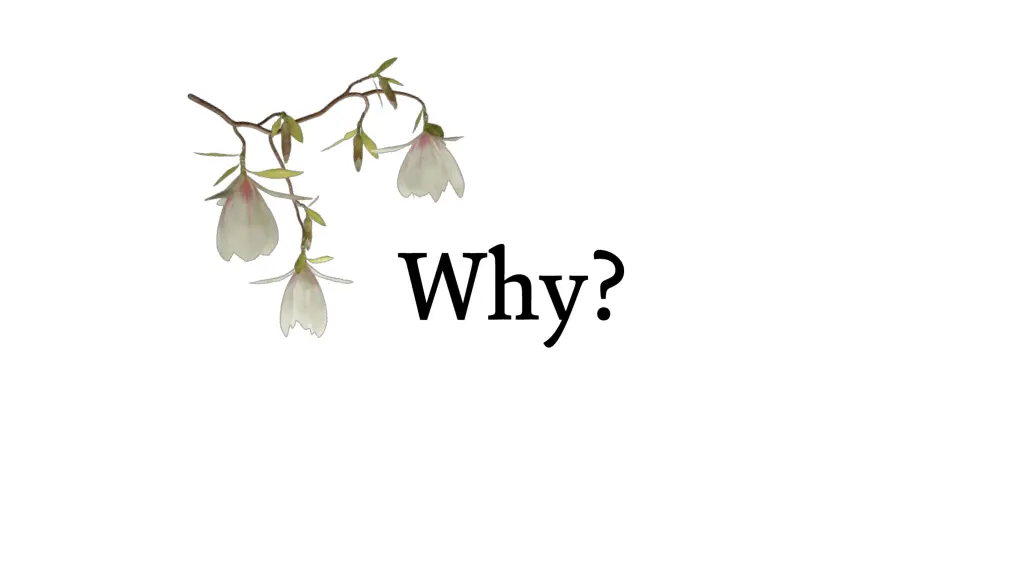 slide9