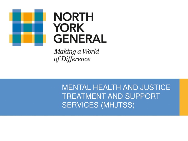 mental health and justice treatment and support