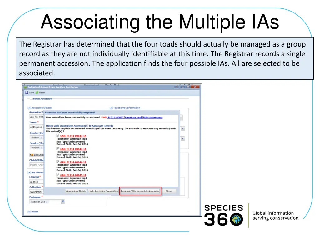 associating the multiple ias