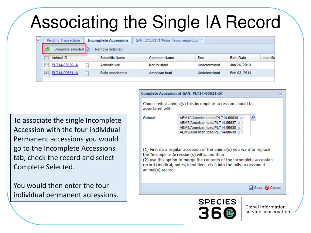 associating the single ia record