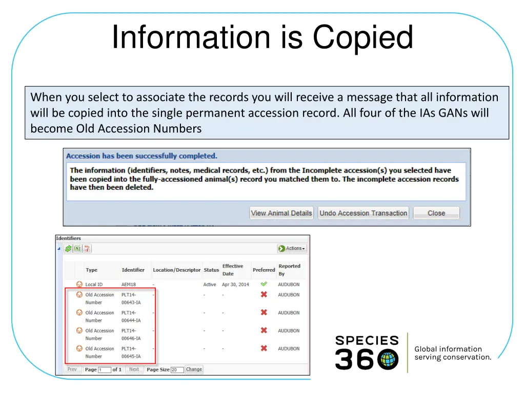 information is copied