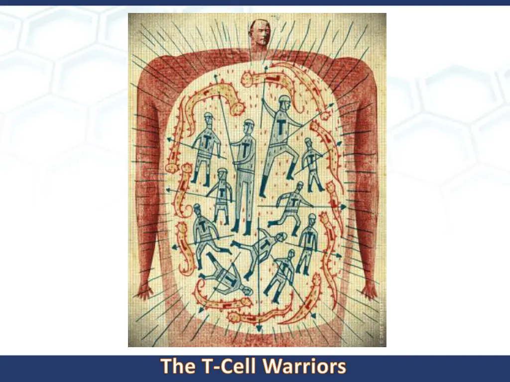 the t cell warriors