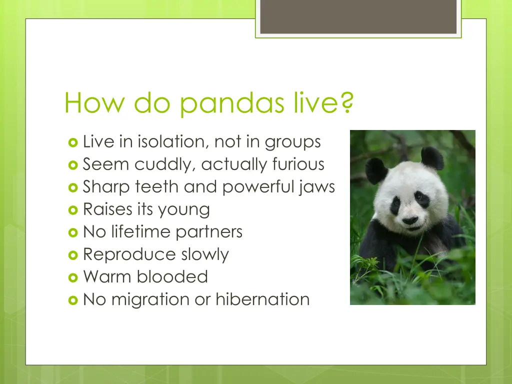 how do pandas live