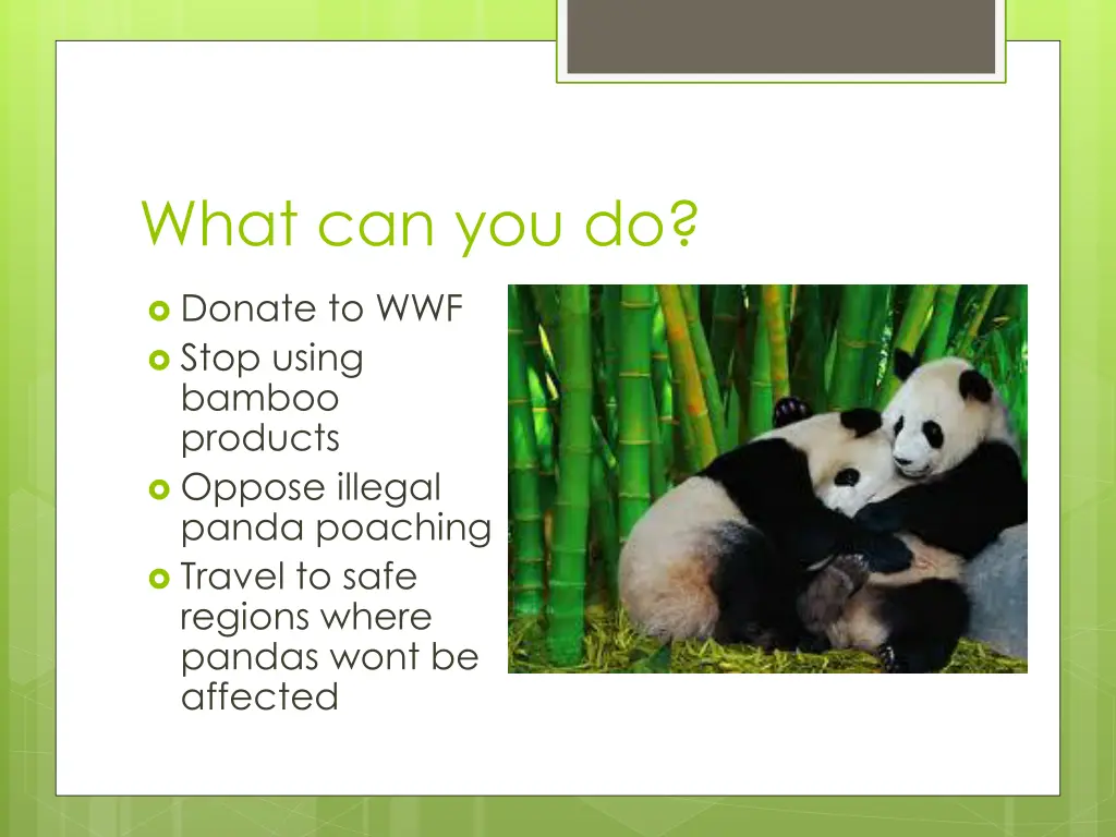 what can you do