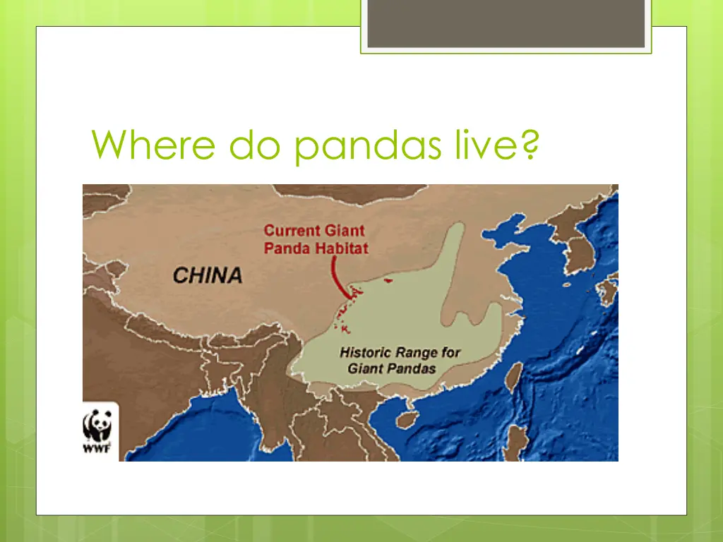 where do pandas live