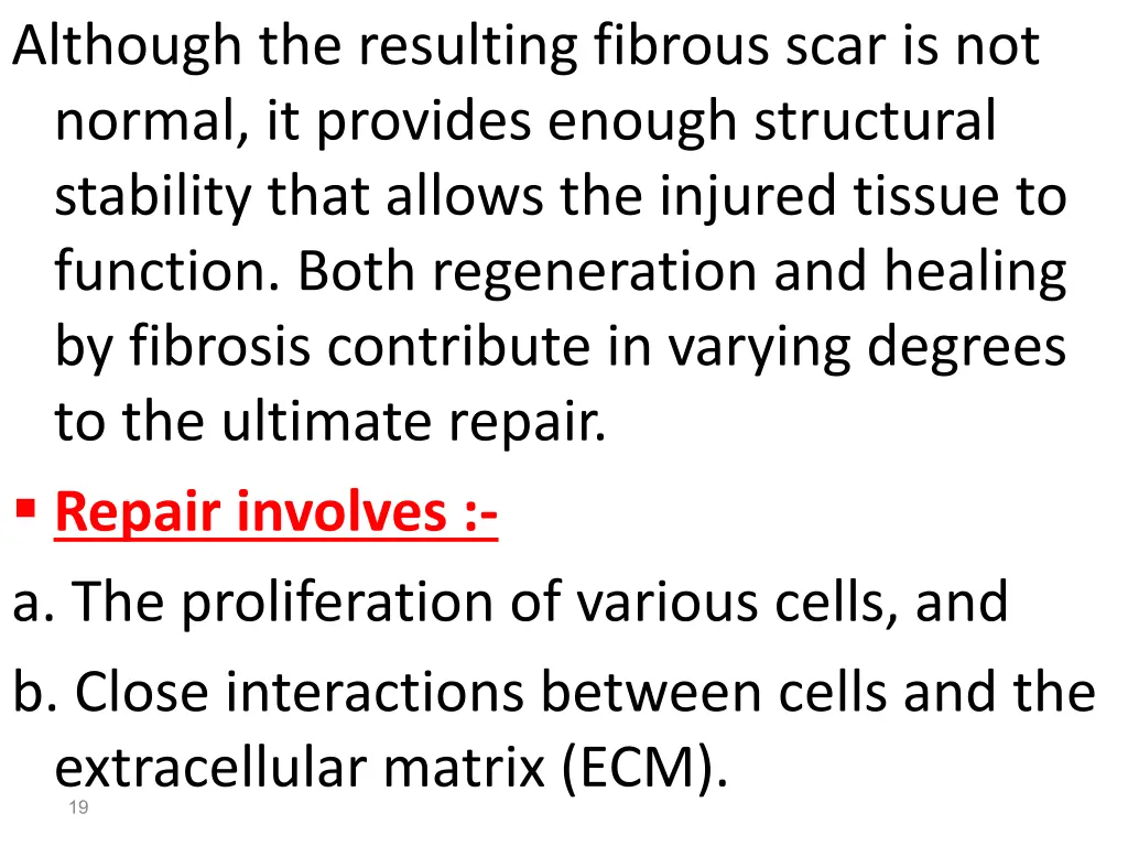 although the resulting fibrous scar is not normal