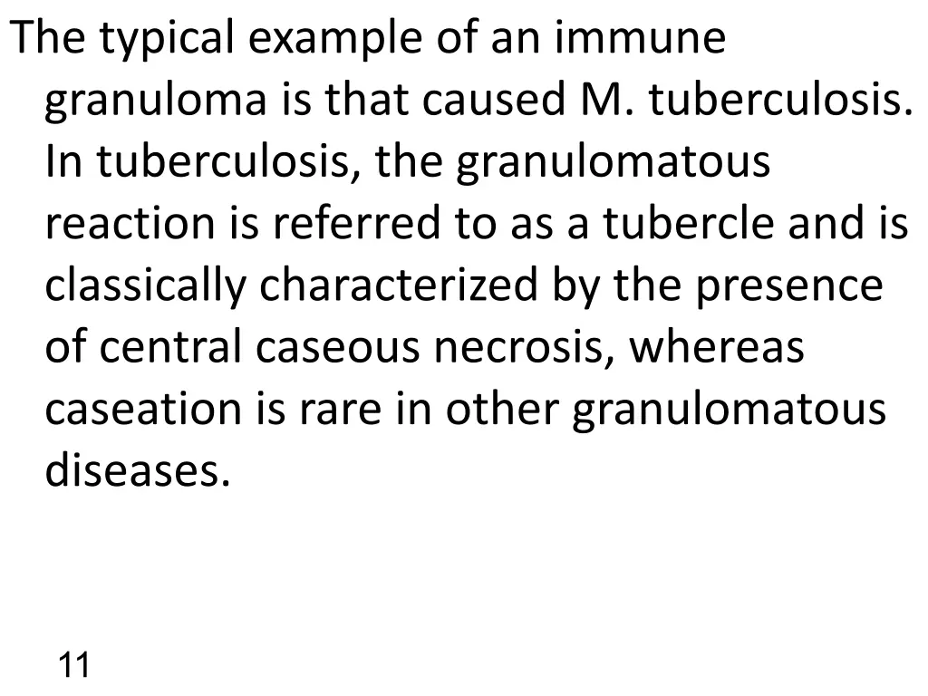 the typical example of an immune granuloma