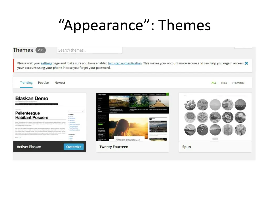 appearance themes