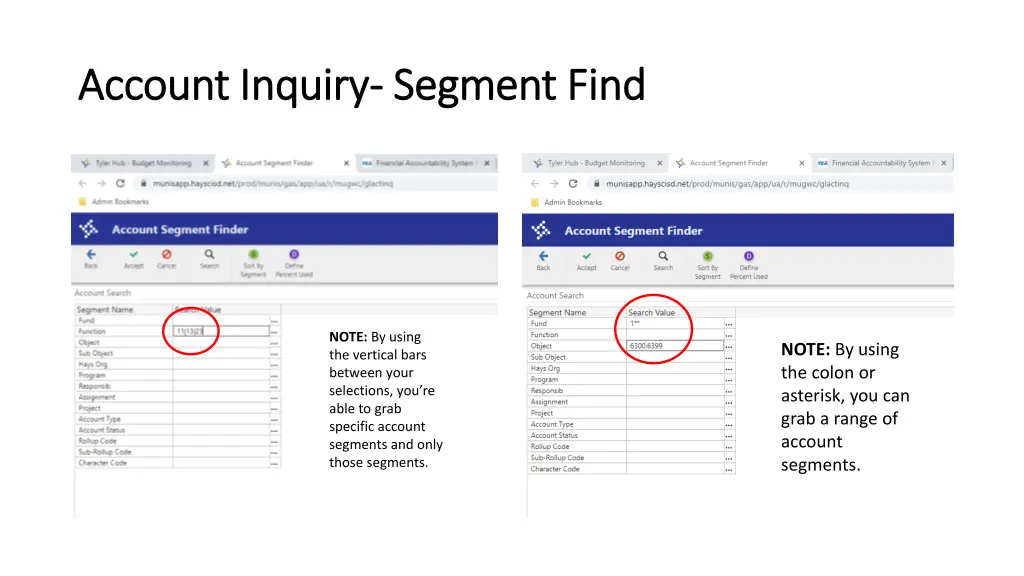 account inquiry account inquiry segment find 2