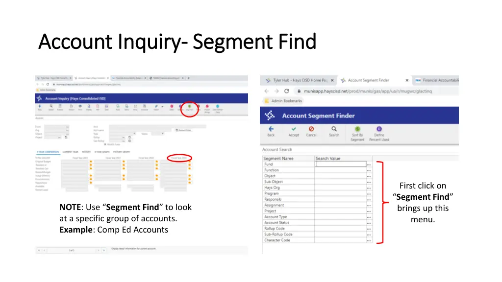 account inquiry account inquiry segment find