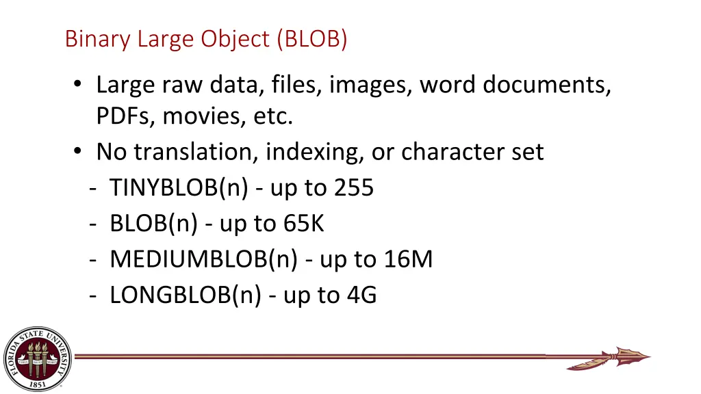 binary large object blob