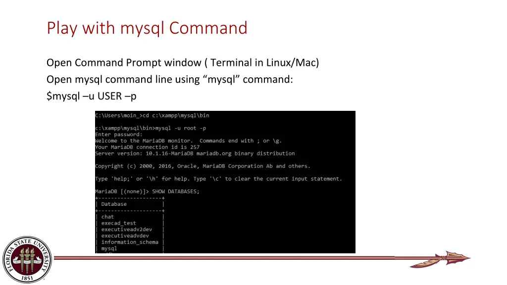 play with mysql command