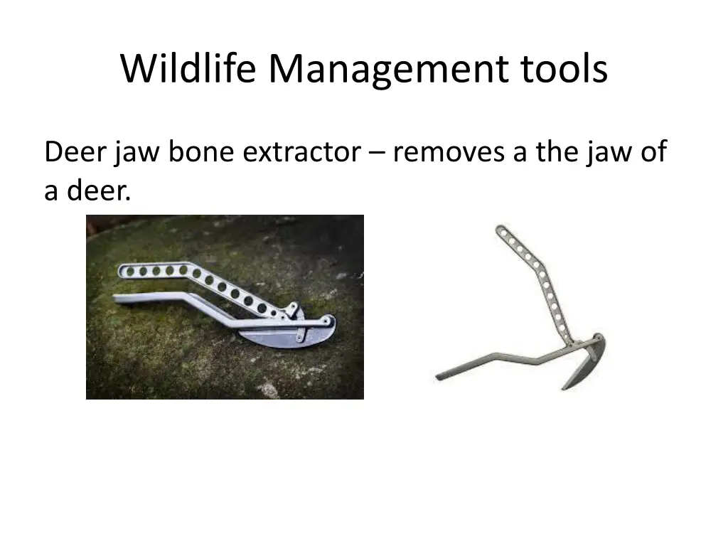 wildlife management tools 10