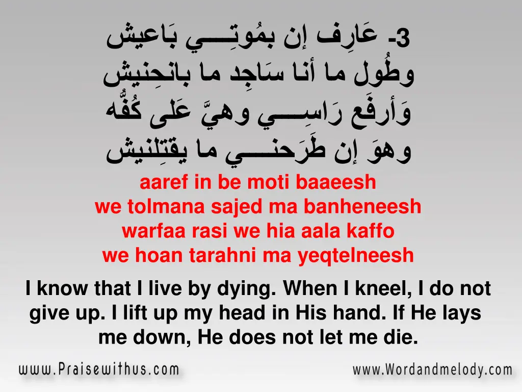 aaref in be moti baaeesh we tolmana sajed