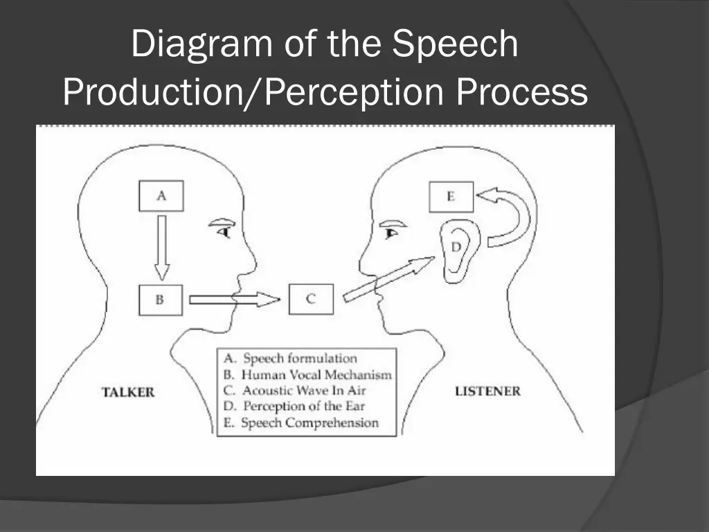diagram of the speech production perception