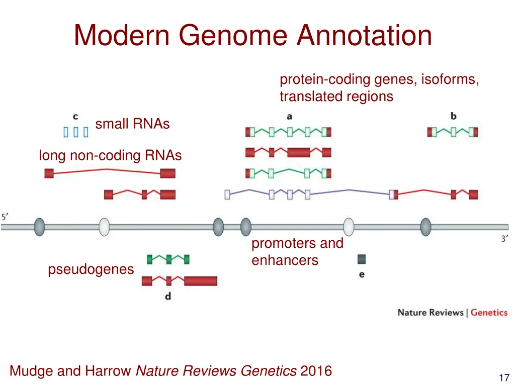 modern genome annotation 2