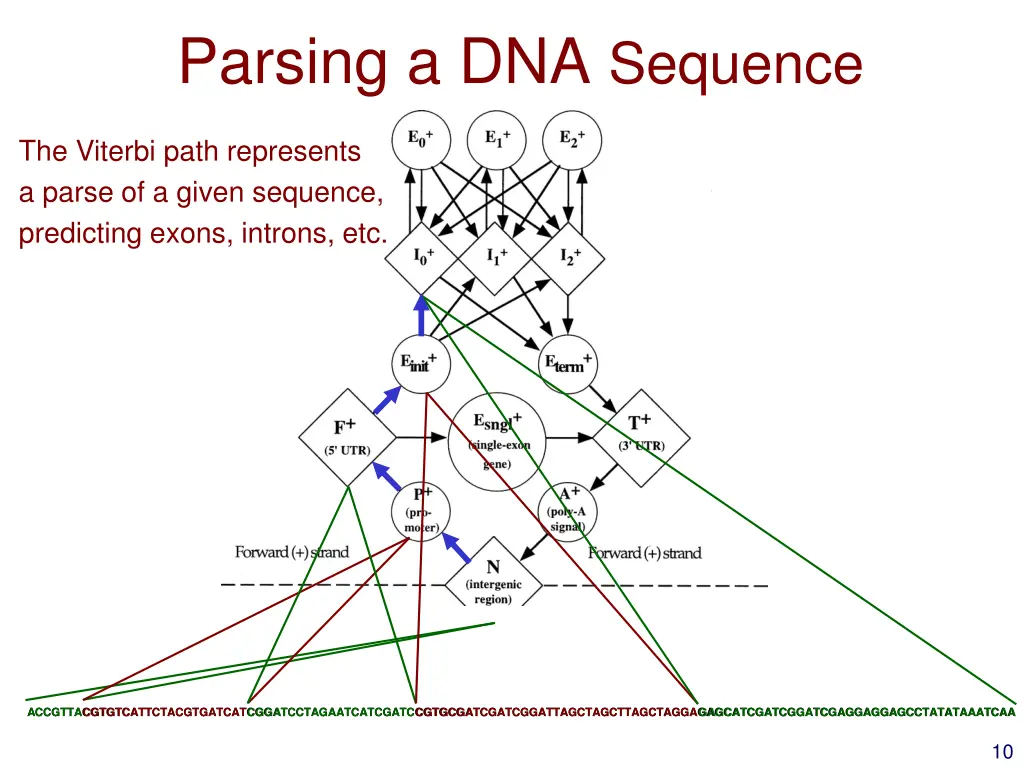 parsing a dna sequence 1