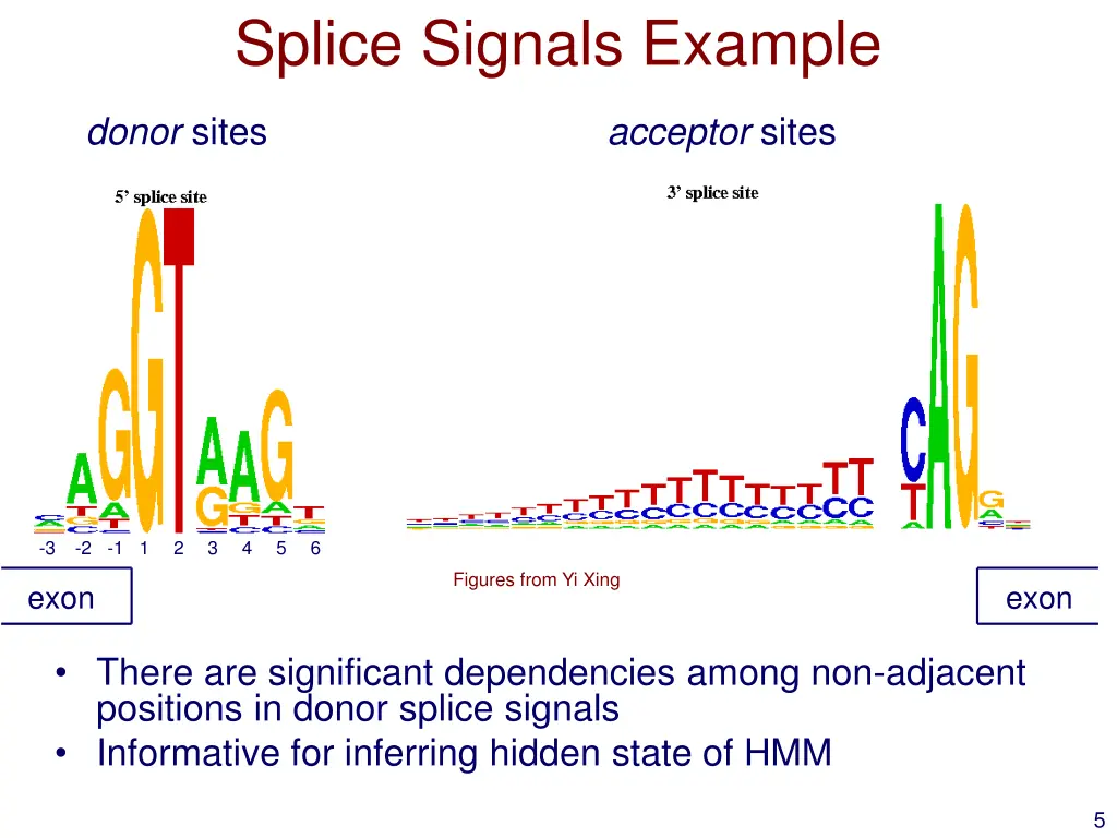 splice signals example