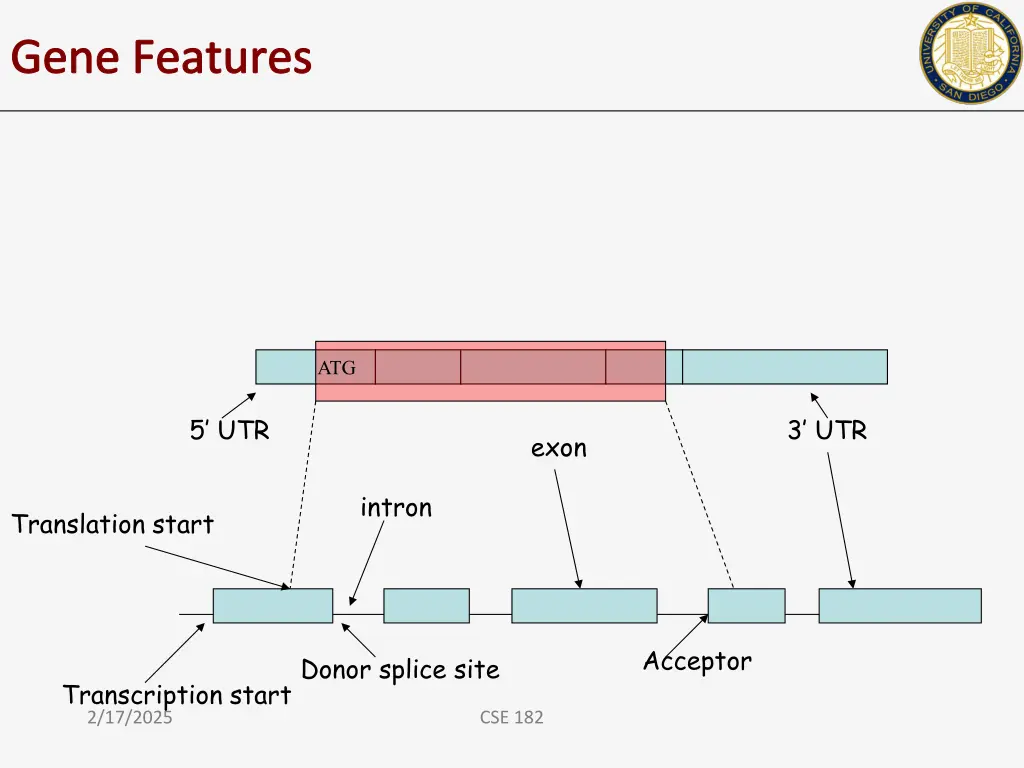 gene features 1
