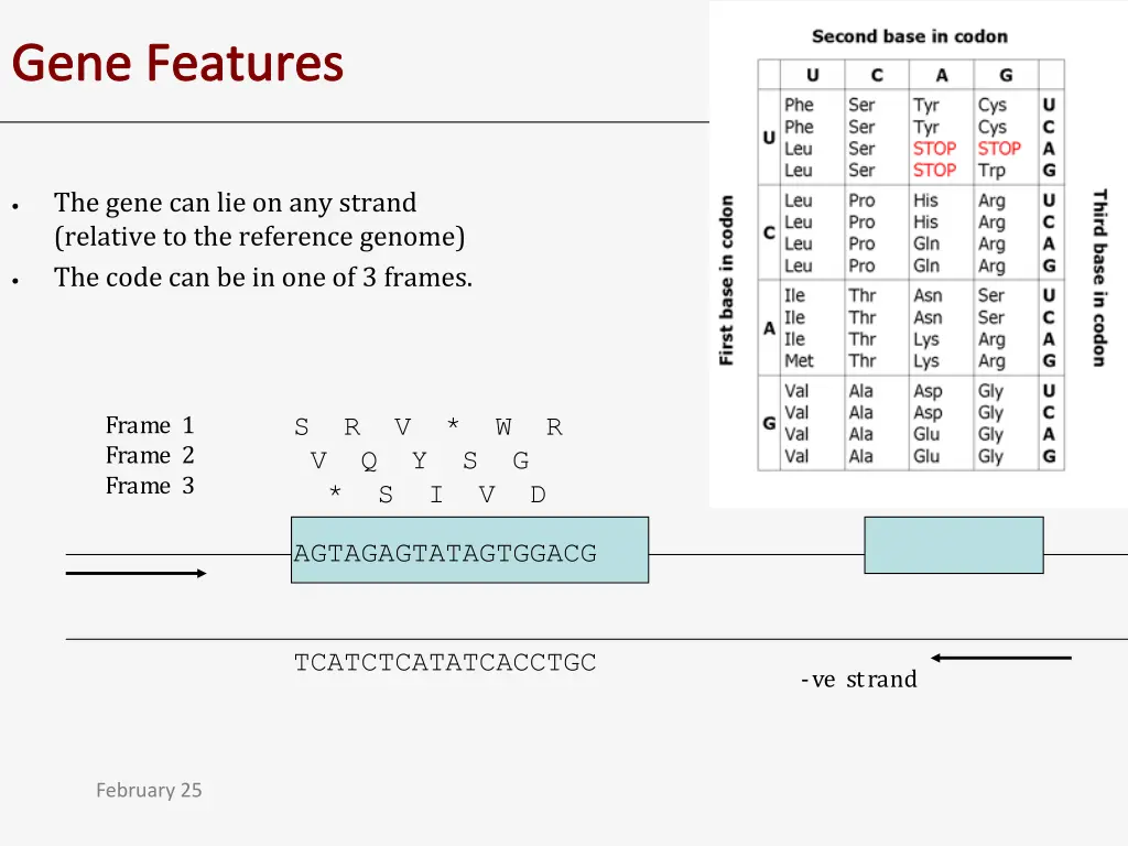 gene features