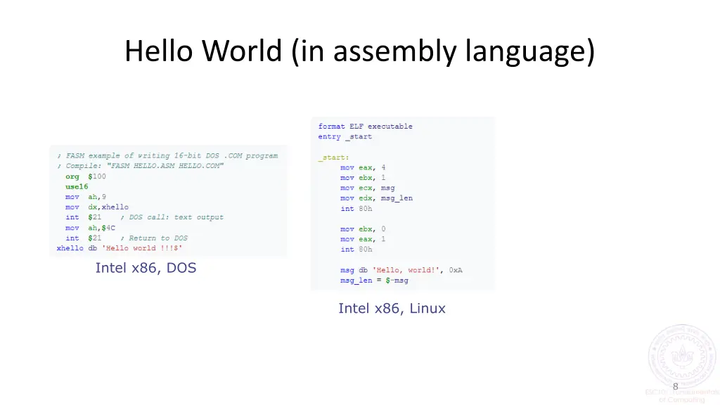 hello world in assembly language