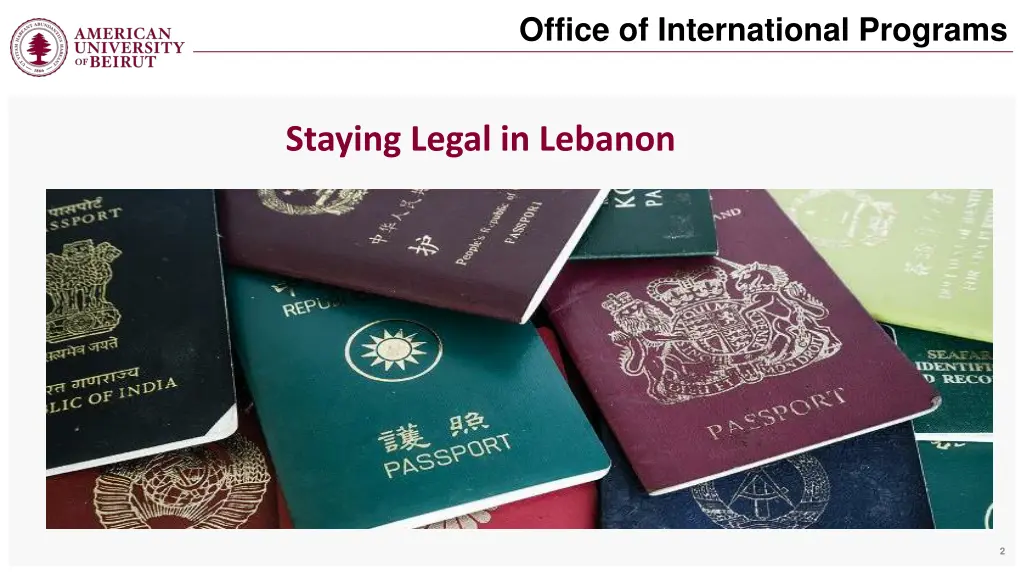 office of international programs