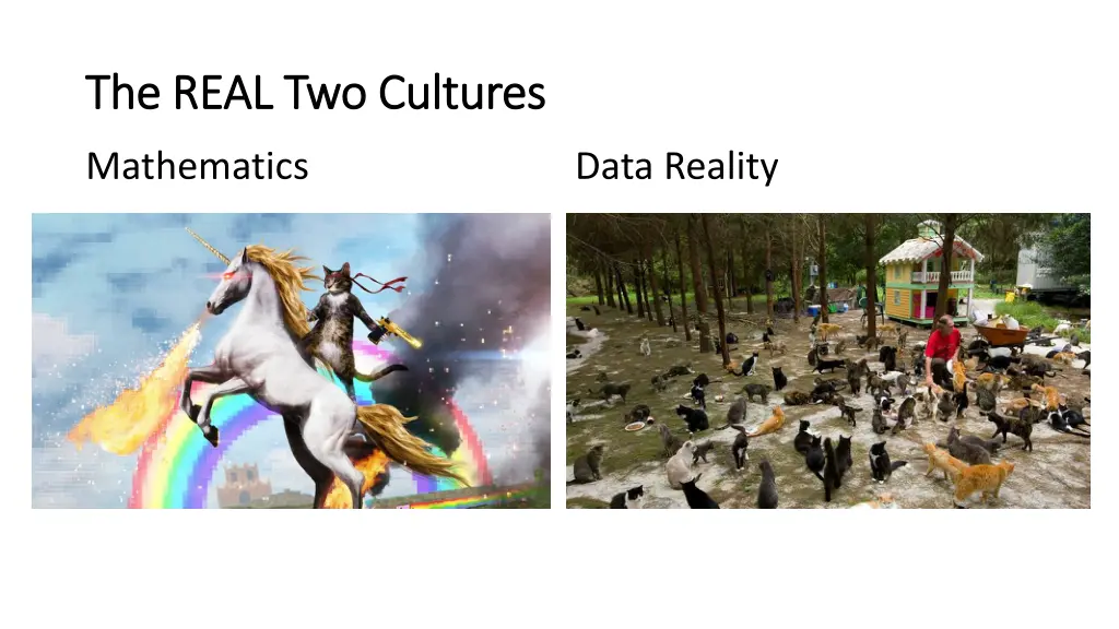 the real two cultures the real two cultures