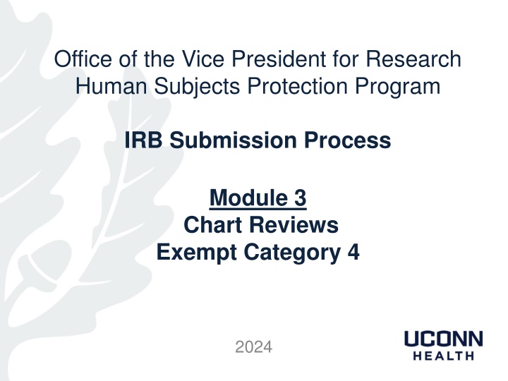 office of the vice president for research human