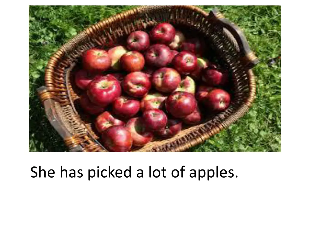 she has picked a lot of apples